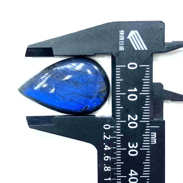 ��ǻ�����ۥ֥롼��֥�ɥ饤�ȡ����ܥ����롼�����ɥ��åס�9.5g