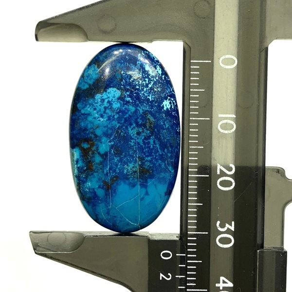 ����å������ȡ����ܥ����롼����7.7�硡1��ʪ