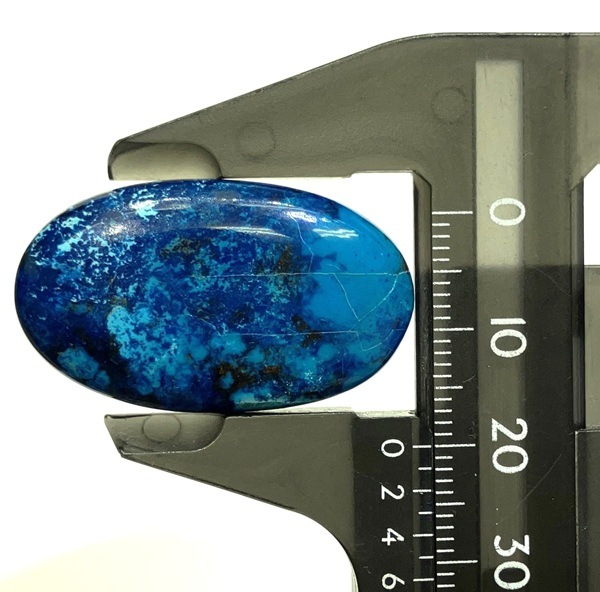 ����å������ȡ����ܥ����롼����7.7�硡1��ʪ