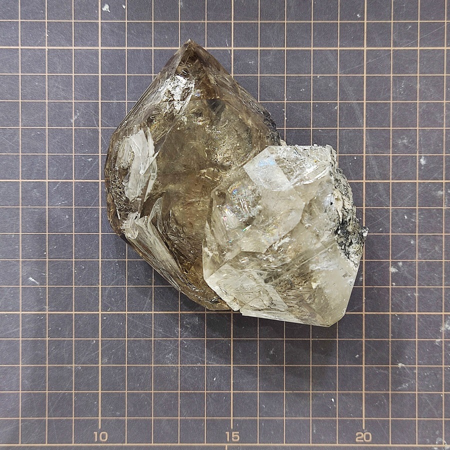 õʡۥϡޡɥġ473硡ŹƱ
