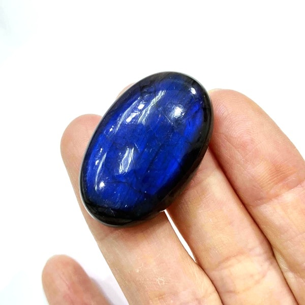 ��ǻ�����ۥ֥롼��֥�ɥ饤�ȡ����ܥ����롼���������Х롡8.6g