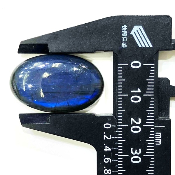 ��ǻ�����ۥ֥롼��֥�ɥ饤�ȡ����ܥ����롼���������Х롡8.6g