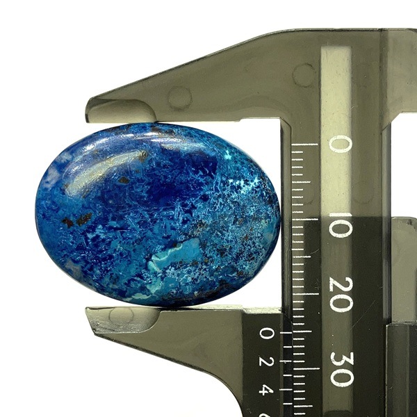 ����å������ȡ����ܥ����롼����8.5�硡1��ʪ