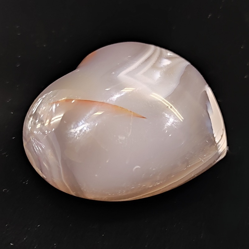 ��������  �ϡ��ȷ�����7cm��1��ʪ