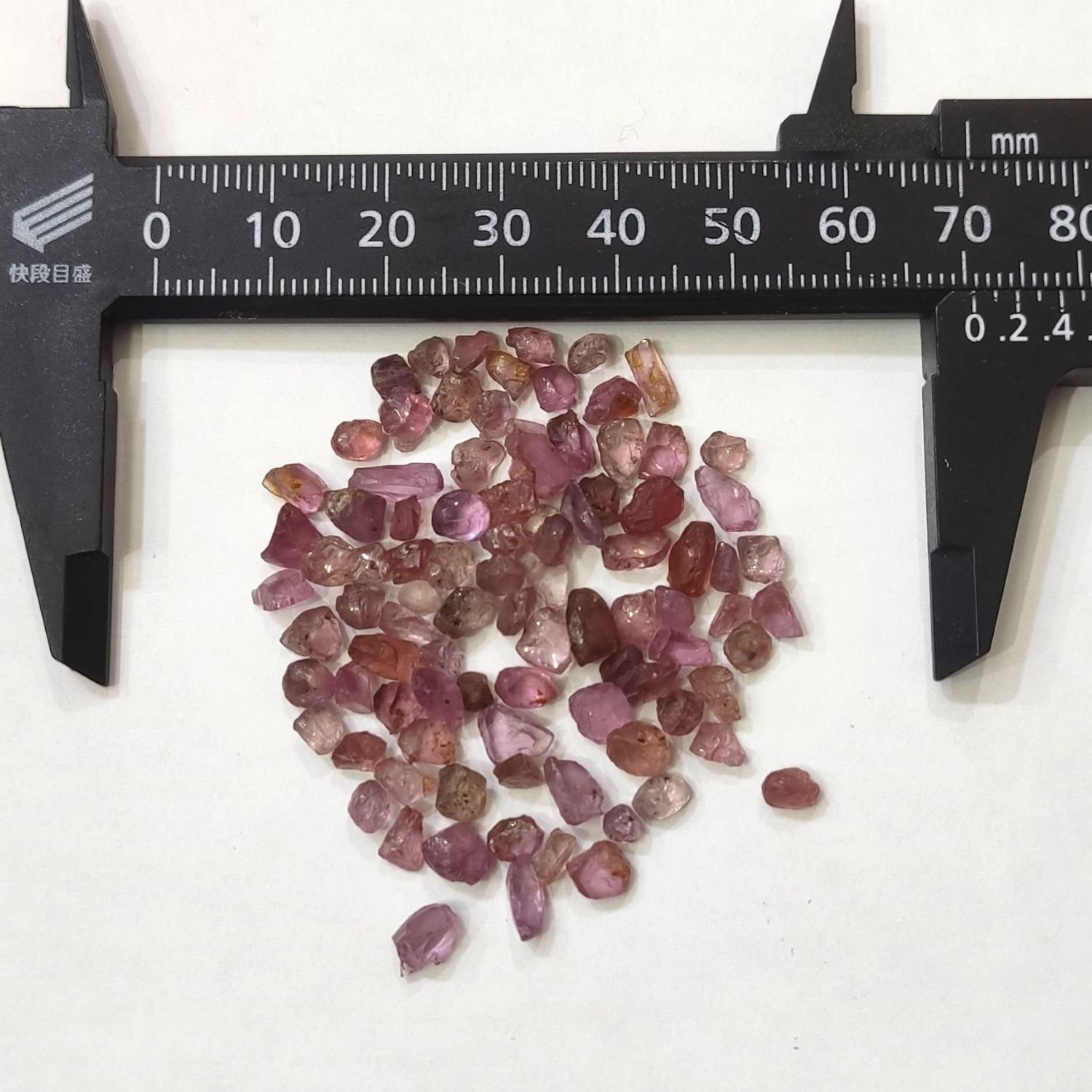 �ѡ��ץ륹�ԥͥ롡���Ф����졡10g