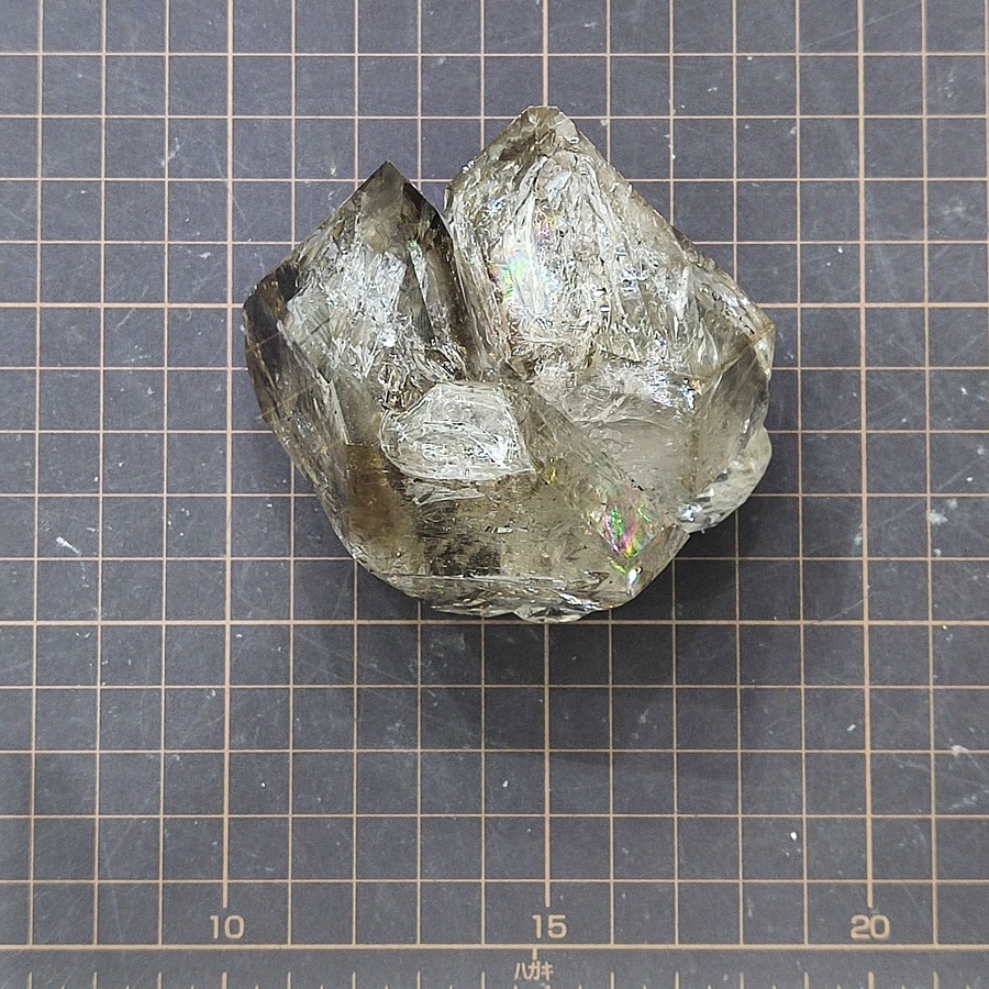 ���õ��ʡۥϡ����ޡ���������ɥ������ġ�359�硡Ź��Ʊ��������