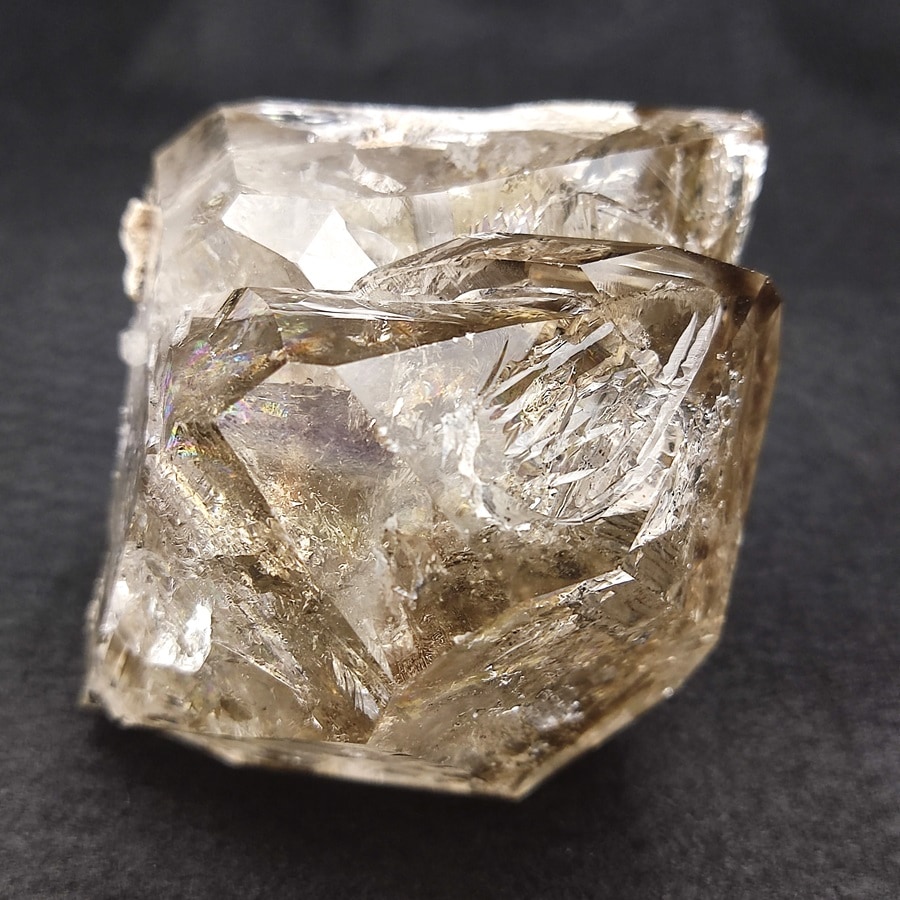 ���õ��ʡۥϡ����ޡ���������ɥ������ġ�359�硡Ź��Ʊ��������