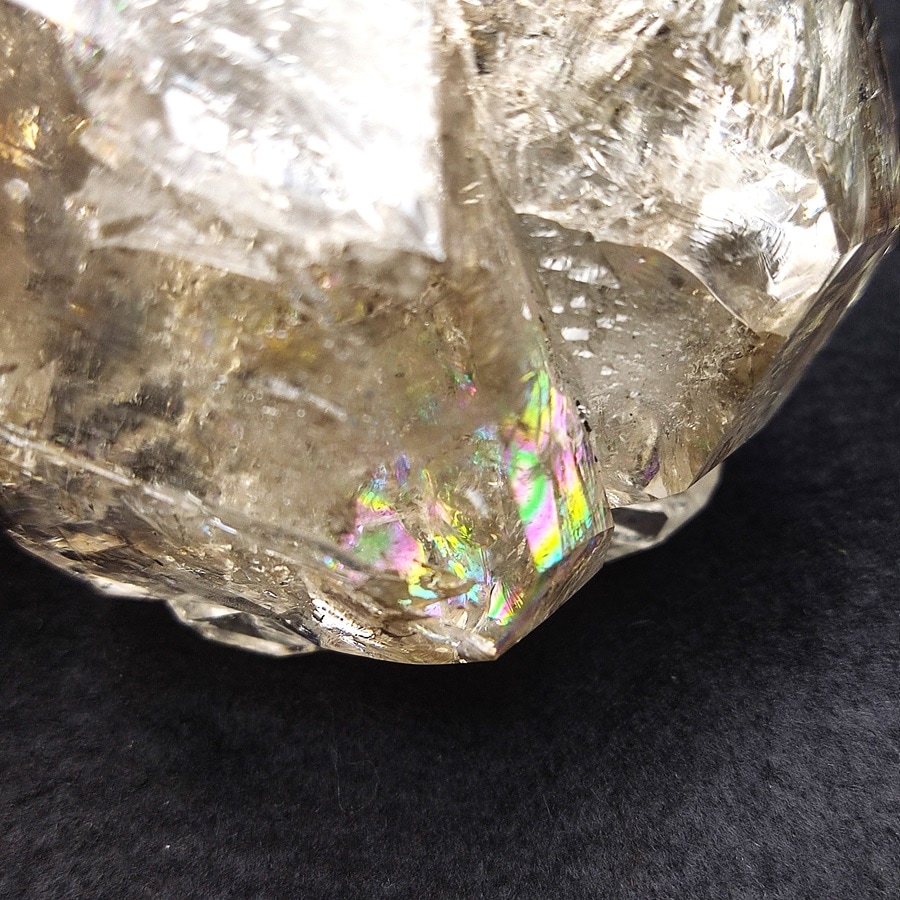 ���õ��ʡۥϡ����ޡ���������ɥ������ġ�359�硡Ź��Ʊ��������