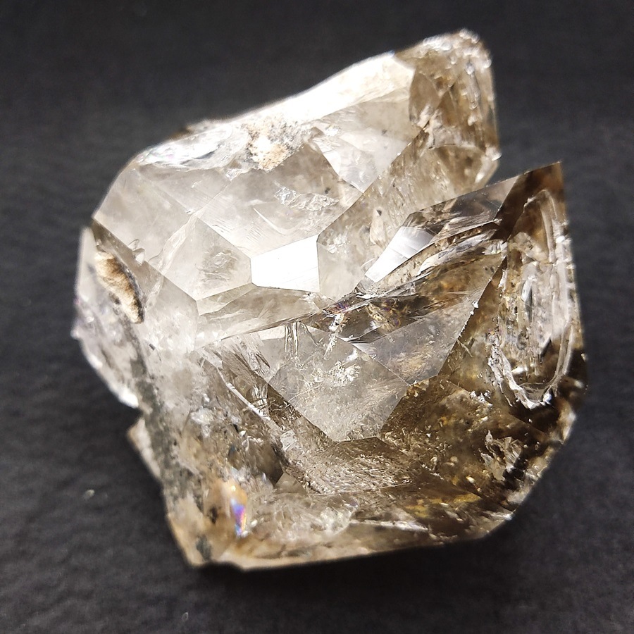 ���õ��ʡۥϡ����ޡ���������ɥ������ġ�359�硡Ź��Ʊ��������