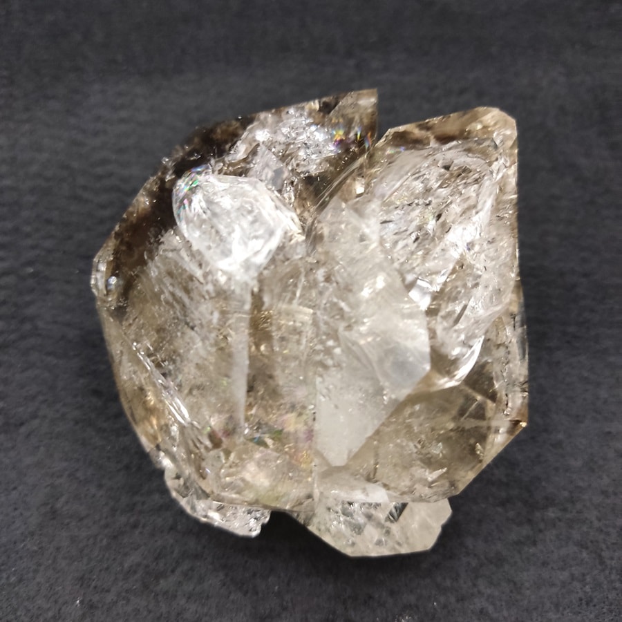 ���õ��ʡۥϡ����ޡ���������ɥ������ġ�359�硡Ź��Ʊ��������