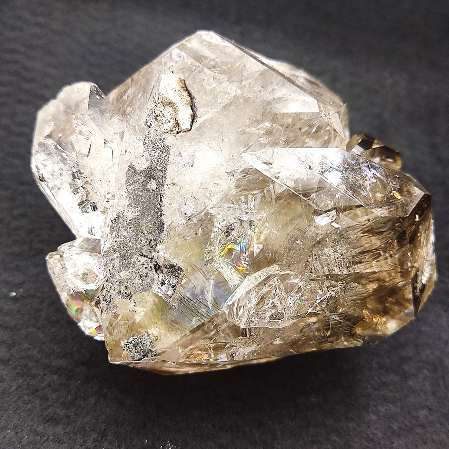 ���õ��ʡۥϡ����ޡ���������ɥ������ġ�359�硡Ź��Ʊ��������