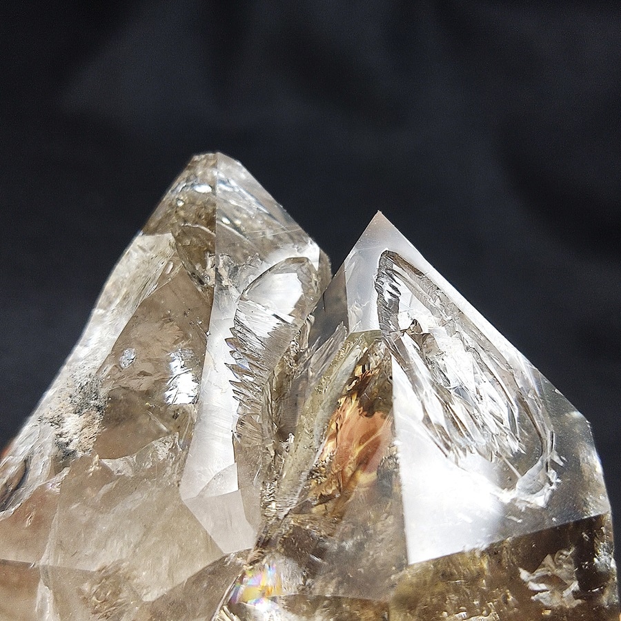 ���õ��ʡۥϡ����ޡ���������ɥ������ġ�359�硡Ź��Ʊ��������