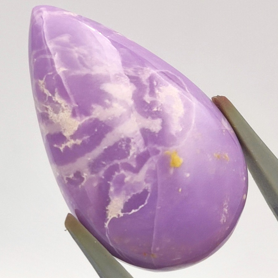 �ե����ե����ǥ饤�ȡ����ܥ����롼����18.95ct��1��ʪ