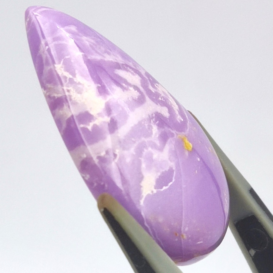 �ե����ե����ǥ饤�ȡ����ܥ����롼����18.95ct��1��ʪ