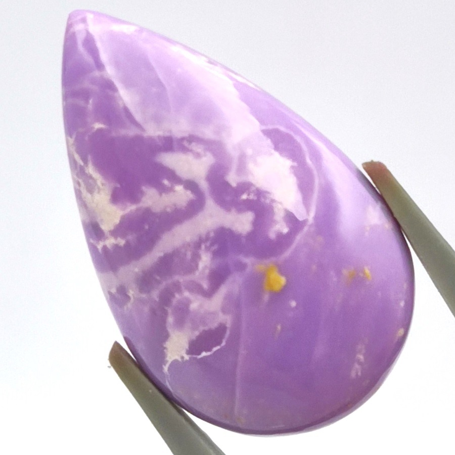 �ե����ե����ǥ饤�ȡ����ܥ����롼����18.95ct��1��ʪ