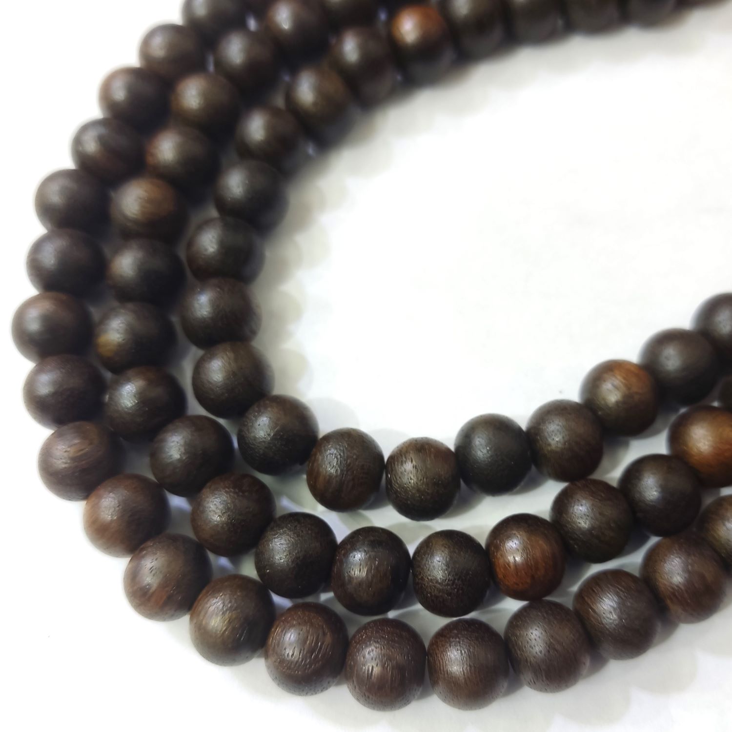 �ףţ¸��꾦�ʡ��ѥ�����ȡ�(��)����Ϣ��� ŷ���Хӡ�������8-9����