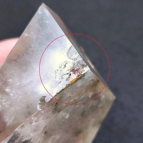 �ڿ����ꡪ���ۥ����ǥ󥯥����ġ��ݥ�å��塦�᤭���֤�ʪ����7.1cm��ŹƬƱ��������