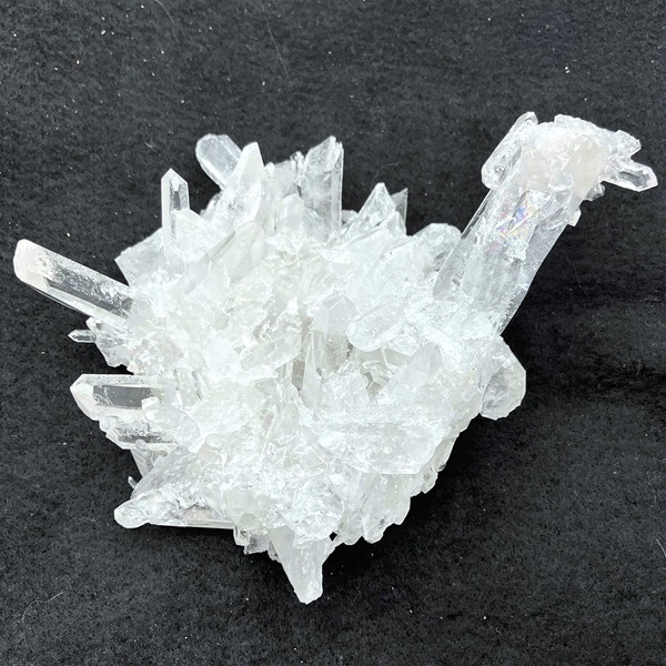 åǥ徽饹350gŹƬƱ