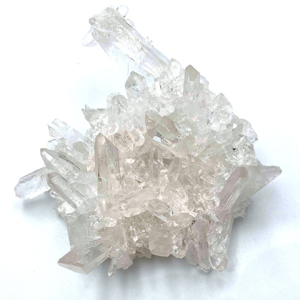 åǥ徽饹350gŹƬƱ
