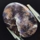 饤ȥ󥹥ȡ󡡥ܥ롼32.25ct1ʪ