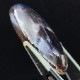 饤ȥ󥹥ȡ󡡥ܥ롼32.25ct1ʪ