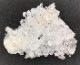 �������󥽡����徽���饹������A��720g ��Ź��Ʊ�������ʡ�