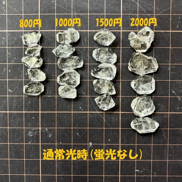 �ڶ��ָ����ۥ����륤�󥯥����ġ��ѥ������󻺥���������徽����������1����ꡡ��������