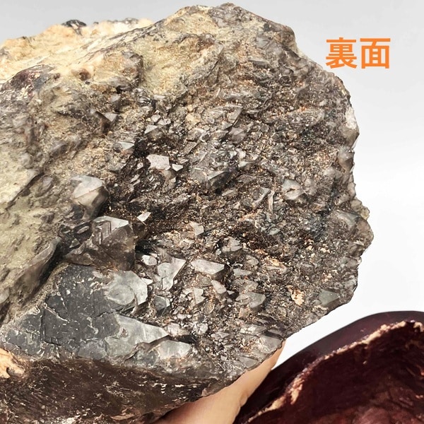 ��webŹƬƱ�������ʡۥ�ꥪ���С��ݥ���ȸ������硡2340�硡����դ���