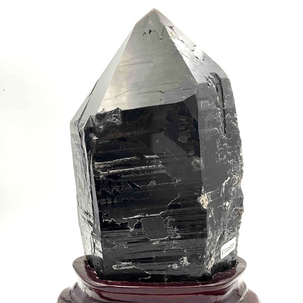 ��webŹƬƱ�������ʡۥ�ꥪ���С��ݥ���ȸ������硡2340�硡����դ���