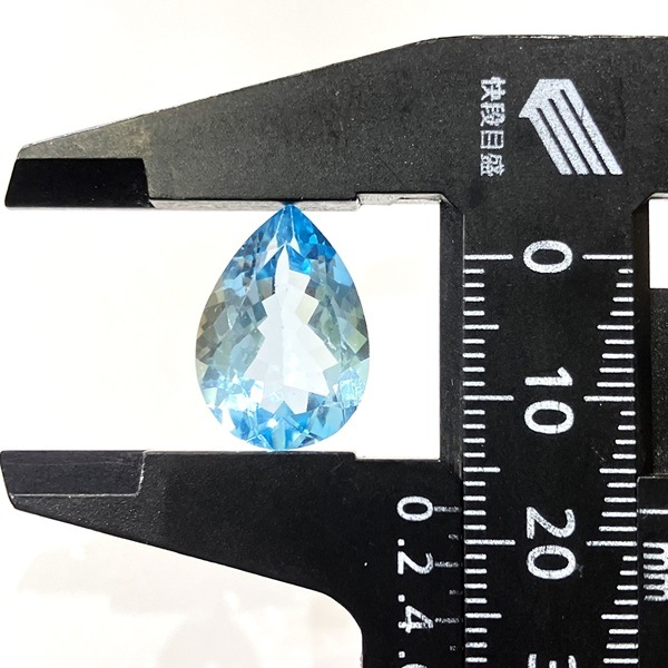 �֥롼�ȥѡ��������åȥ롼�����ɥ��åס��ڥ��������ס�12.1ct