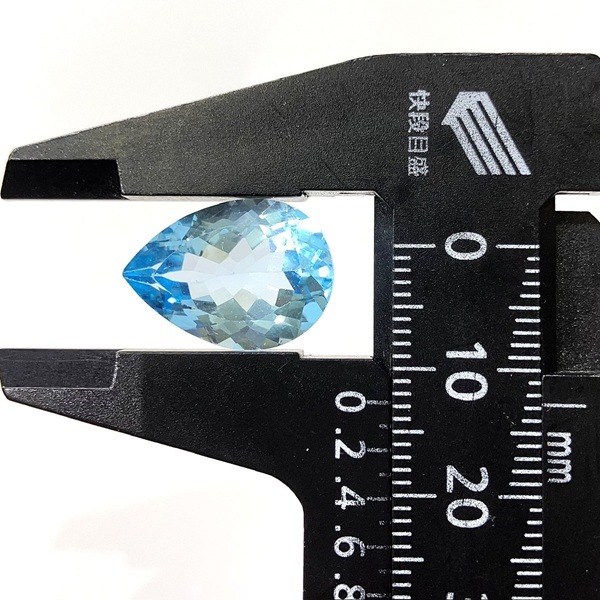 �֥롼�ȥѡ��������åȥ롼�����ɥ��åס��ڥ��������ס�12.1ct