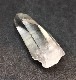 ʡۥꥢ󥷡ɿ徽֥饸뻺СɡNo.31