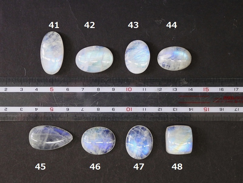 ����ǥ����֥�ɥ饤��41-48��3000�߶Ѱ졪��