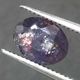 �������饤�ȥ��󥹥ȡ��󡡥��åȥ롼����1.9ct��1��ʪ