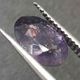 �������饤�ȥ��󥹥ȡ��󡡥��åȥ롼����1.9ct��1��ʪ