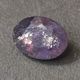 �������饤�ȥ��󥹥ȡ��󡡥��åȥ롼����1.9ct��1��ʪ