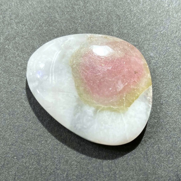 ȥޥ󡡥ܥ롼6.1硡1ʪ