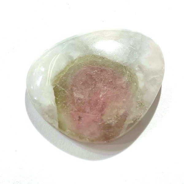 ȥޥ󡡥ܥ롼6.1硡1ʪ