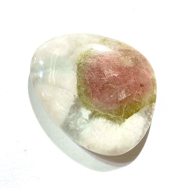 ȥޥ󡡥ܥ롼6.1硡1ʪ