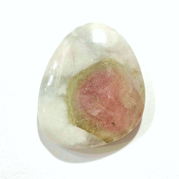 ȥޥ󡡥ܥ롼6.1硡1ʪ