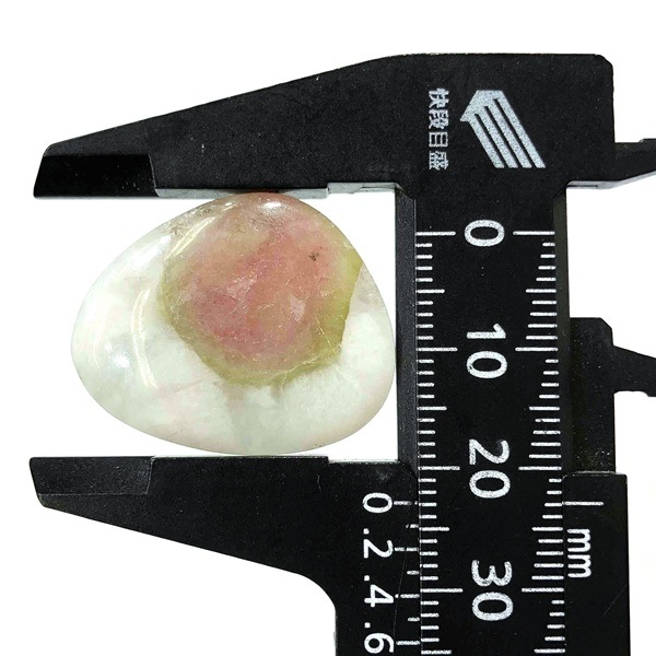 ȥޥ󡡥ܥ롼6.1硡1ʪ