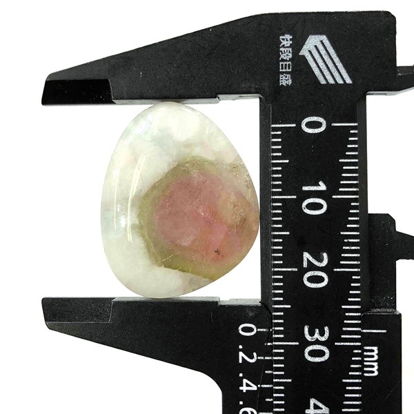 ȥޥ󡡥ܥ롼6.1硡1ʪ