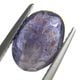 �������饤�ȥ��󥹥ȡ��󡡥��åȥ롼����2.5ct��1��ʪ