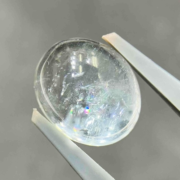 �ʥ�����֥롼�ȥѡ��� ��12mm ���ܥ����롼�� 1��ʪ