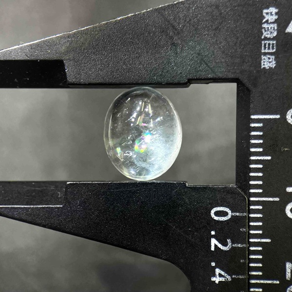 �ʥ�����֥롼�ȥѡ��� ��12mm ���ܥ����롼�� 1��ʪ