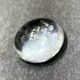 �ʥ�����֥롼�ȥѡ��� ��12mm ���ܥ����롼�� 1��ʪ