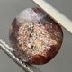 �������饤�ȥ��󥹥ȡ��󡡥��ܥ����롼����2.7ct��1��ʪ