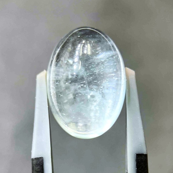 �ʥ�����֥롼�ȥѡ��� ��14mm ���ܥ����롼�� 1��ʪ