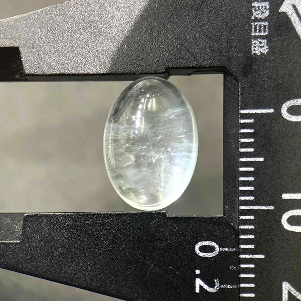 �ʥ�����֥롼�ȥѡ��� ��14mm ���ܥ����롼�� 1��ʪ