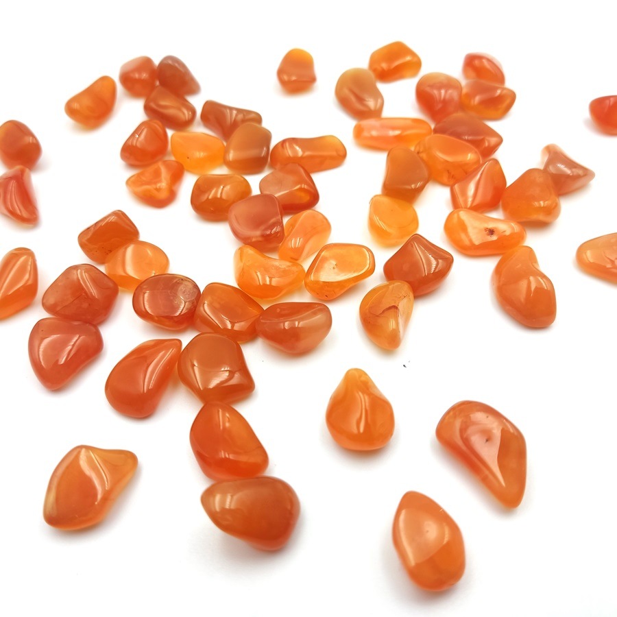 �����ͥꥢ�� ����֥롡1�����